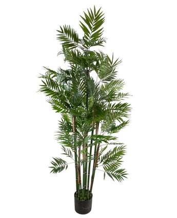 Kunstplant Parlour 180 cm