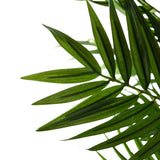 Close-up van overlappende groene bladeren met puntige uiteinden van de Kunstplant Parlour 180 cm, tegen een witte achtergrond.