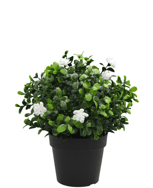 Kunstplant Pumila in pot 21cm UV