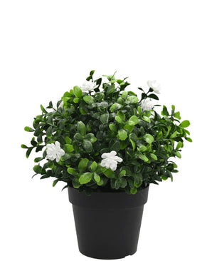 Kunstplant Pumila in pot 21cm UV