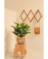 Kunstplant Rubber plant 51 cm