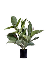 Kunstplant Rubber plant 51 cm