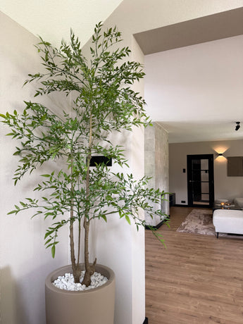 Kunstplant Ruscus 150 cm