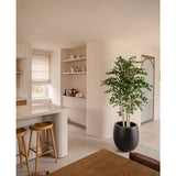 Een moderne, minimalistische keuken met witte muren en kasten, houten krukjes bij een wit aanrecht, open schappen met servies en een Kunstplant Ruwe Berk 210 cm in een zwarte plantenbak naast de houten eettafel.