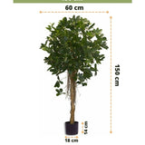 De Kunstplant Schefflera klein blad 150 cm heeft kleine blaadjes in een decoratieve pot, is 150 cm hoog, 60 cm breed, met een pothoogte van 14 cm en een diameter van 18 cm. Metingen worden aangegeven met pijlen.