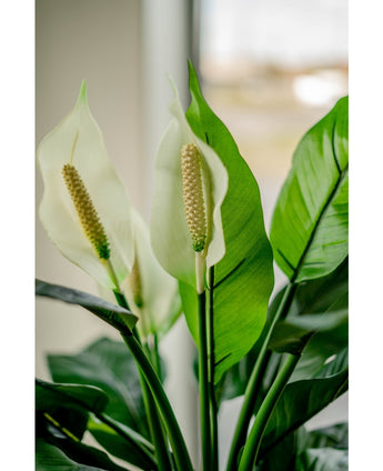 Kunstplant Spathiphyllum wit 85 cm