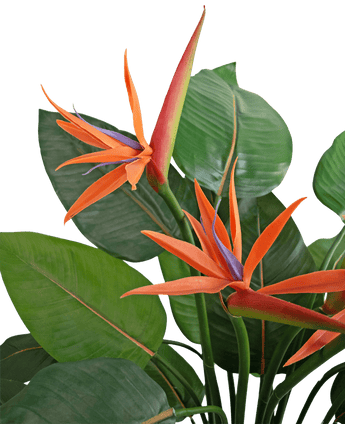 Kunstplant Strelitzia 120 cm