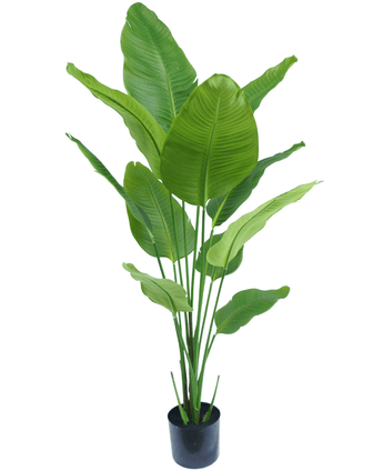 Kunstplant Strelitzia 150 cm real touch