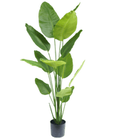 Kunstplant Strelitzia 180 cm real touch