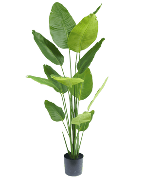 Kunstplant Strelitzia 180 cm real touch