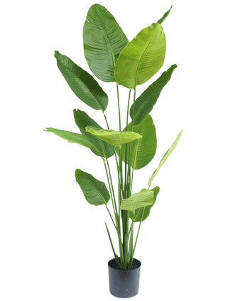 Kunstplant Strelitzia 180 cm real touch