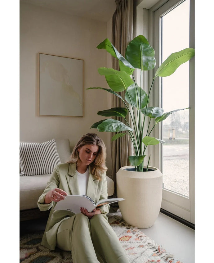 Een vrouw in een lichtgroen pak leest bij een groot raam op een gedessineerd kleed. Naast haar staat de Kunstplant Strelitzia 180 cm real touch met brede bladeren; daarachter staat een bank met gestreepte kussens en minimalistische ingelijste kunst.