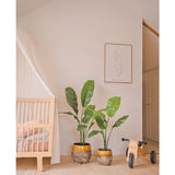 Een gezellige kinderkamer met een houten wieg, een luxe Kunstplant Strelitzia Nicolai 120 cm, een ingelijste minimalistische lijntekening aan de muur en een kleine houten loopfiets met het label MIA op een lichthouten vloer.