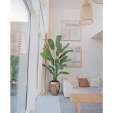 Een moderne, lichte woonkamer met grote ramen, neutrale inrichting, een Kunstplant Strelitzia Nicolai Deluxe 210 cm in een metalen pot, geweven hanglampen, ingelijste muurkunst, een houten salontafel en een beige bank met kussens.