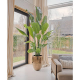 De Kunstplant Strelitzia Nicolai Deluxe 210 cm, met grote groene bladeren, staat bij een raam in een lichte moderne woonkamer met beige gordijnen, een bank en uitzicht op buiten dat zichtbaar is door het glas.