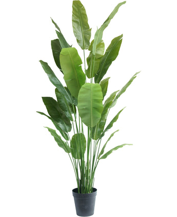 Kunstplant Strelitzia Nicolai Deluxe 235 cm