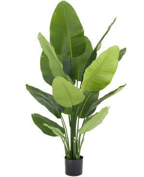 Kunstplant Strelitzia Real Touch Deluxe 150 cm