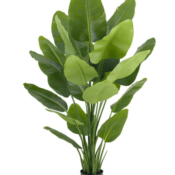 Kunstplant Strelitzia Real Touch Deluxe 180 cm