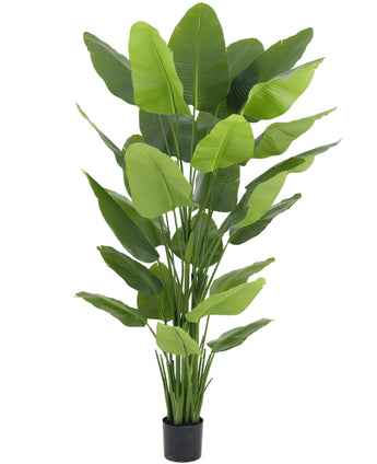 Kunstplant Strelitzia Real Touch Deluxe 210 cm