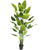 Kunstplant Strelitzia Real Touch Deluxe 300 cm