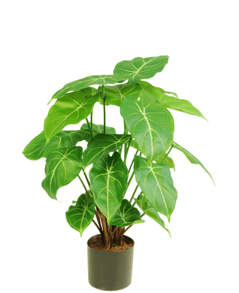 Kunstplant Syngonium 58 cm