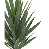 Close-up van Kunstplant Yucca 100 cm UV, met dichte groene, stekelige bladeren die vanuit het midden omhoog en naar buiten stralen tegen een effen witte achtergrond.