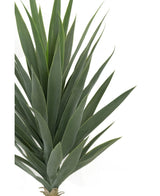 Kunstplant Yucca 100 cm UV