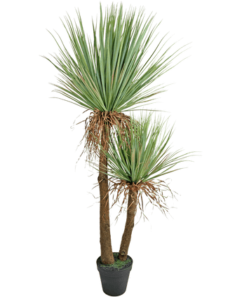 Kunstplant Yucca Deluxe 153 cm