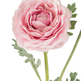 Een close-up van de Kunstranonkel Real Touch Roze 60cm toont de gelaagde roze bloemblaadjes en groene bladeren tegen een witte achtergrond.