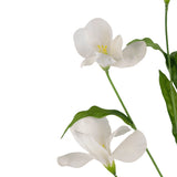 De Kunstrododendron Azalea Real Touch Wit 80cm heeft drie delicate witte bloemen met groene stelen en bladeren tegen een effen witte achtergrond.