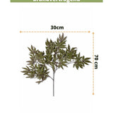 Kunsttak Esdoorn 70 cm groen brandvertragend, 30 cm breed, tegen een witte achtergrond met maataanduiding. Tekst bovenaan, Easyplants Kunstplanten logo onderaan. Ideaal voor een herfstaccent in je interieur.