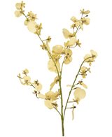 Kunsttak Orchidee 80 cm beige