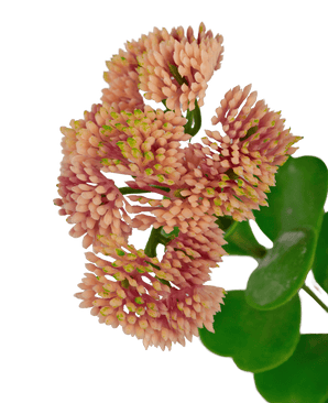 Kunsttak Sedum 56 cm lichtroze