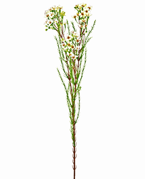 Kunsttak Waxflower 78 cm creme