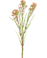 Kunsttak Waxflower 78 cm roze