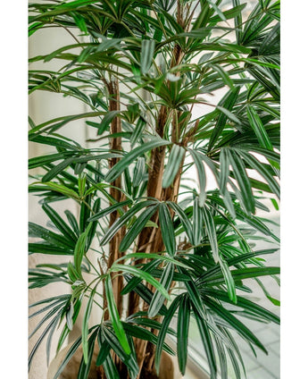 Lady Kunstpalm 150 cm