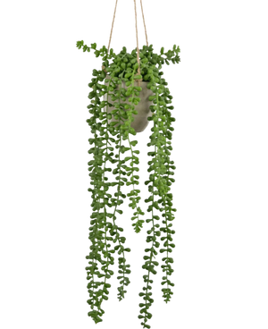 Kunst hangplanten
