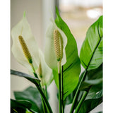 Close-up van de Kunstplant Spathiphyllum wit 85 cm, met twee witte bloemen en weelderige groene bladeren, binnen getoond met natuurlijk licht dat door een zacht vervaagde raamachtergrond schijnt.
