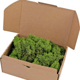 Open kartonnen doos Rendier Mos Forest Green 500 gram, gevuld met weelderig groen mos en afgebeeld tegen een witte achtergrond.