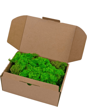 Rendier Mos Grass Green Light 500 gram