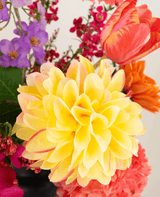 Zijden kunstbloemen boeket Colourburst Blossom