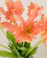 Zijden kunstbloemen boeket Franse Parkiet Tulp koraal