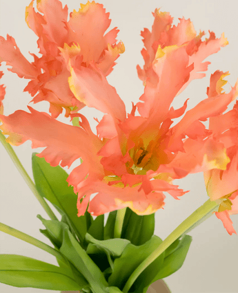 Zijden kunstbloemen boeket Franse Parkiet Tulp koraal