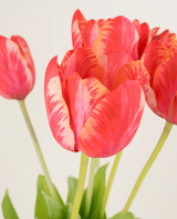 Zijden kunstbloemen boeket Franse Tulp rood