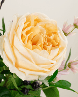 Zijden kunstbloemen boeket Touch of Cloudlight