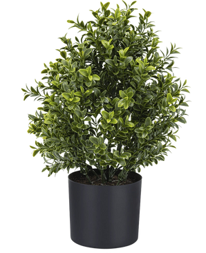De Kunstplant Buxus Romeinse stijl UV 36cm is een weelderig groene kunstplant in pot met dichte, kleine bladeren in een eenvoudige zwarte ronde pot, perfect om groen toe te voegen aan elke ruimte.