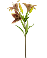 Kunstbloem Aziatische Lelie 66 cm oud roze