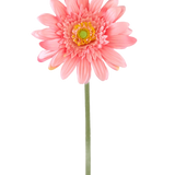 Een Kunstbloem Gerbera 55 cm roze heeft een enkele roze gerbera met een geelgroen hart op een lange groene steel, tegen een effen witte achtergrond.