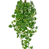 Kunsthangplant Pumila 50 cm