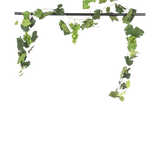 Een zwarte stang toont de Kunst Druiven guirlande brandvertragend 186 cm, met trossen groene druiven en weelderige bladeren, decoratief hangend tegen een effen witte achtergrond.